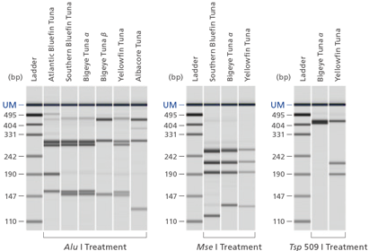 multiNA II MCE-301 Shimadzu