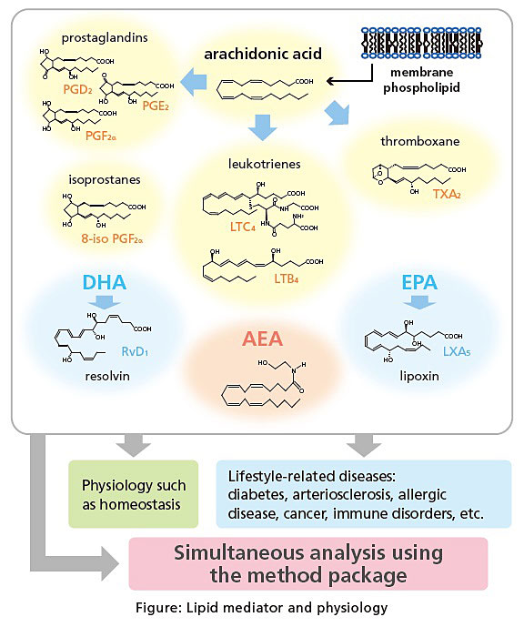 Ready-to-Use Analytical Conditions